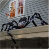 Halloween Giant Spider Decorations, 60 Inch Realistic Large Scary Skull Spider